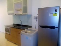 Suites @ Bukit Timah (D21), Apartment #155996412
